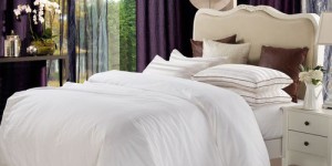 What is the difference between mulberry silk quilt and tussah silk quilt (which one is better, tussah silk quilt or mulberry silk quilt)