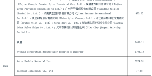 Brazil makes its first affirmative final ruling on anti-dumping review of Chinese nylon yarn