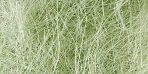 Fiber classification and fabric types