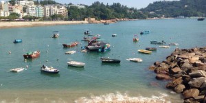 A shark was found on a beach in Hong Kong. The government urges citizens not to swim – 600D Oxford cloth