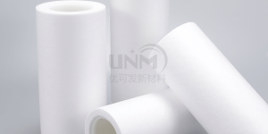 PTFE sterilizing filter membrane retention capacity