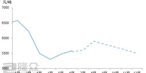 2020 Polyester Bottle Chips Semi-Annual Report