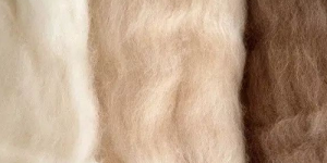 What is cashmere? What are the advantages and disadvantages of cashmere fabric?