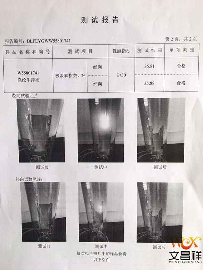 Test Report