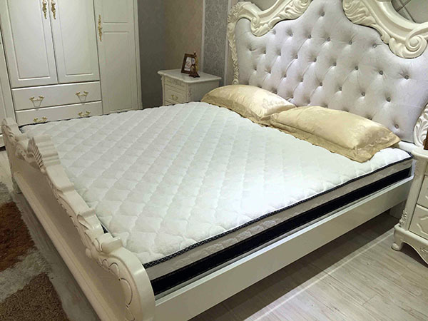 Which one is palm mattress or latex? Good Which is better, palm mattress or latex
