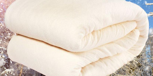 10  Price of pure cotton quilt per kilogram