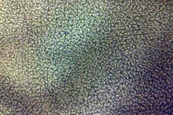Polar fleece and fleece The difference The difference between polar fleece and fleece