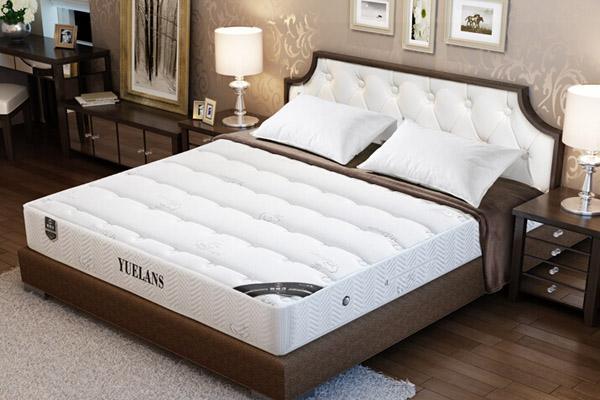 Coconut Palm Mattress