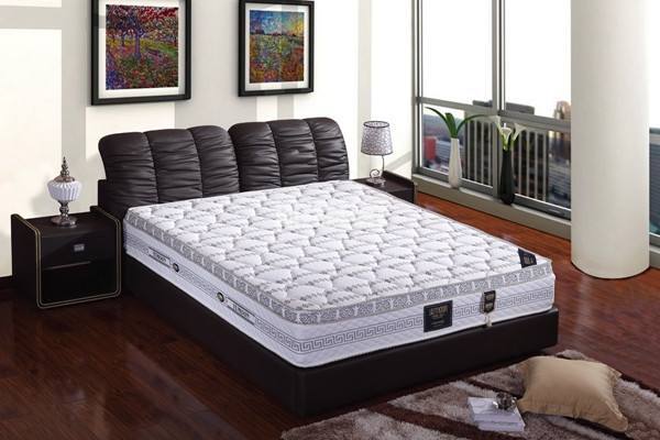 Coconut Palm Mattress