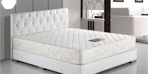 Coconut Mattress