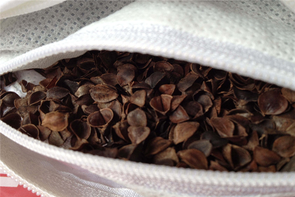 Benefits and harms of buckwheat pillows
