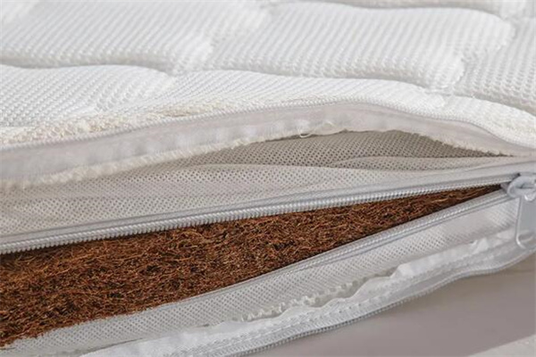 Which one is better, latex mattress or coconut palm mattress