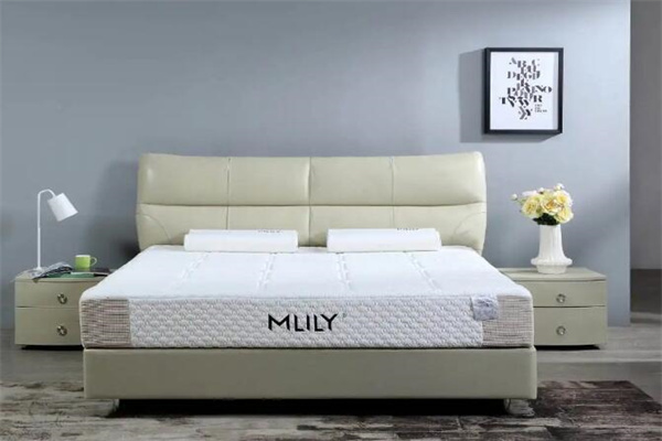 How is the Dream Lily mattress ranked in the country?