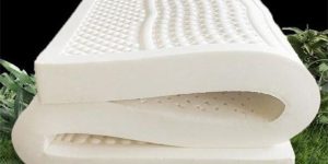 Which is better, latex mattress or coconut palm mattress