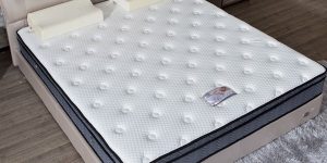Introduction to coconut palm mattress