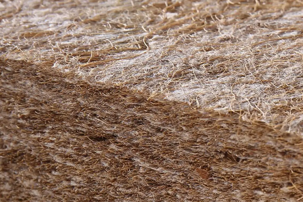 What is the difference between latex mattress and coconut palm mattress
