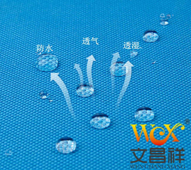 Polyester Oxford cloth