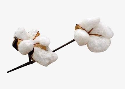 What kind of fabric is combed cotton? Combed cotton What are the advantages and disadvantages?